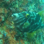 IMG_0745.JPG