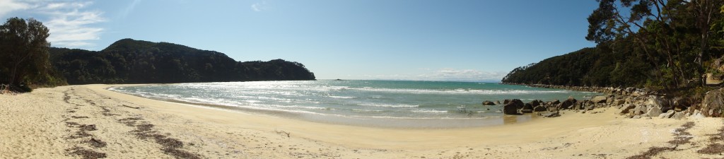 DSC05667