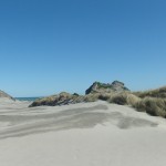 DSC05746