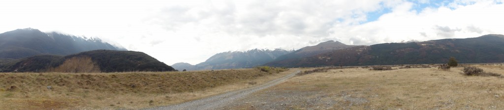 DSC05919