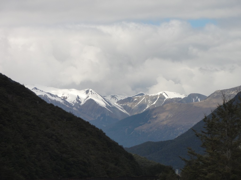 DSC05941