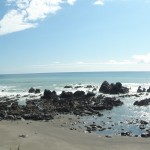 DSC05983