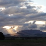 DSC06301